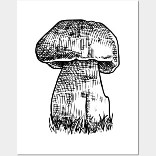 Porcini Posters and Art